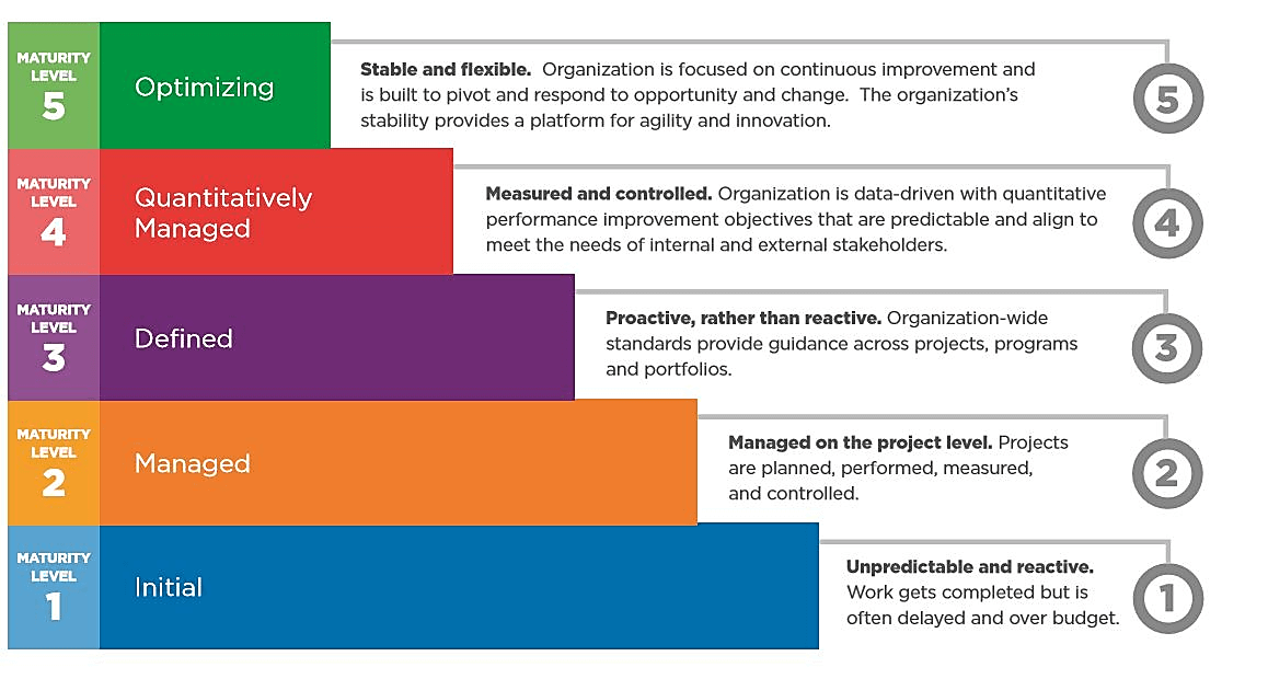 exploring-the-7-domains-of-process-maturity